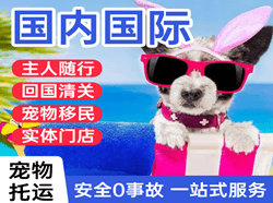 左旗巴彦浩特航空空运国际宠物托运 【国